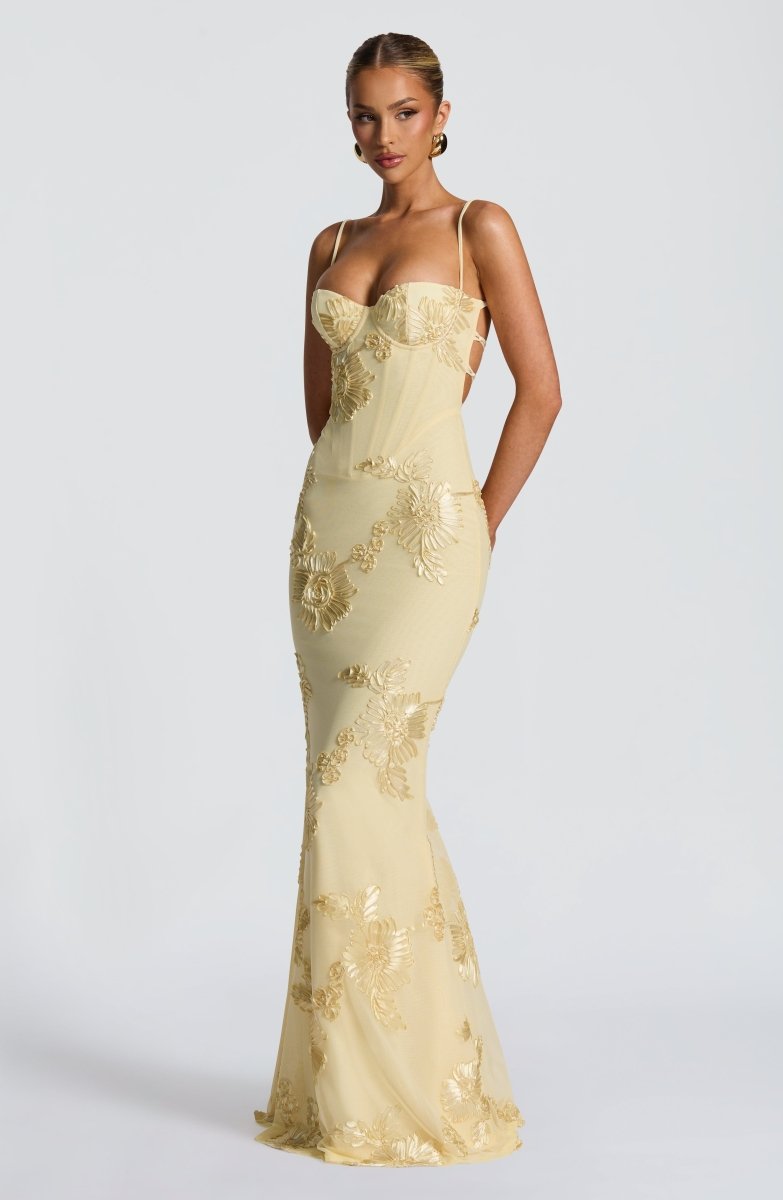 Women's Lace Maxi Dress | Elegant Figure-Hugging Flared Evening Gown 7